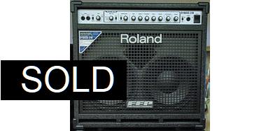 Roland D-BASS 210